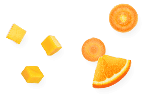 ACEマンゴースムージーフルーツ